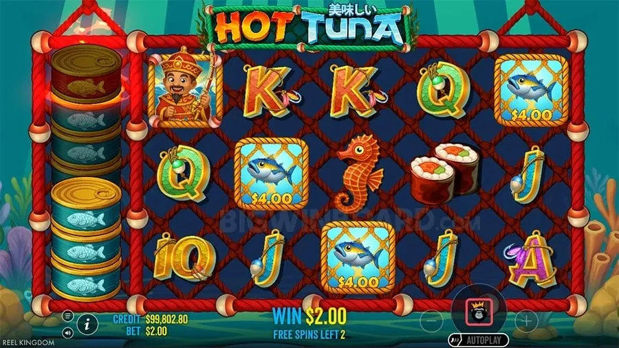 Bingoplus Welcome Bonus for New Players