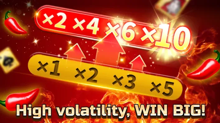 Bingoplus Live Casino